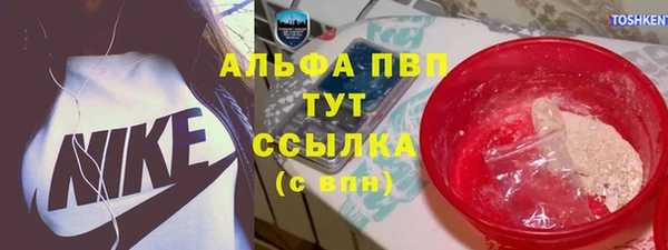 PSILOCYBIN Волосово