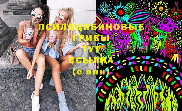 PSILOCYBIN Волосово