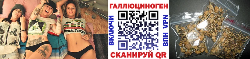 Псилоцибиновые грибы MAGIC MUSHROOMS  mega   Чухлома  даркнет сайт 